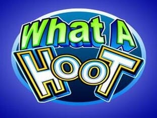 What A Hoot game thumbnail